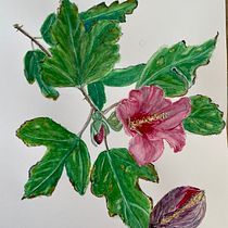 Mein Kursprojekt: Botanische Illustration mit Wasserfarben. Traditional illustration, Fine Arts, Painting, Drawing, Watercolor Painting, Botanical Illustration, and Advertising project by Doreen Kurtz - 08.28.2022