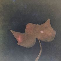Mein Kursprojekt: Cyanotypie: Drucktechnik mit Licht. Un projet de Artisanat, Beaux Arts, Estampe, DIY , et Photographie argentique de Sonja Kägi - 28.08.2022