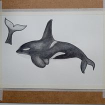 Mi proyecto del curso: Técnicas de ilustración naturalista: ballenas en acuarela. Un progetto di Illustrazione tradizionale, Design di poster , Illustrazione digitale e Manga di mipropianube - 29.08.2022