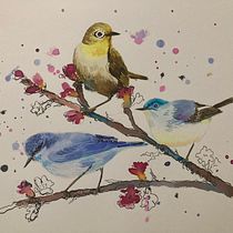My project for course: Artistic Watercolor Techniques for Illustrating Birds. Projekt z dziedziny Trad, c, jna ilustracja, Malowanie akwarelą, R, sunek realist, czn, Ilustracja naturalist i czna użytkownika Andrea Šeligová - 30.08.2022