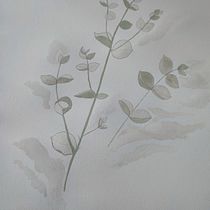 Mój projekt z kursu: Akwarela botaniczna: ilustracja anatomii kwiatów. Un progetto di Illustrazione tradizionale, Belle arti, Pittura, Disegno, Pittura ad acquerello e Illustrazione botanica di Klaudia Majka - 31.08.2022