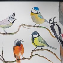 My project for course: Artistic Watercolor Techniques for Illustrating Birds. Projekt z dziedziny Trad, c, jna ilustracja, Malowanie akwarelą, R, sunek realist, czn, Ilustracja naturalist i czna użytkownika ratilain - 31.08.2022