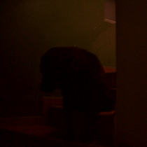 Mi proyecto del curso: Guía práctica para aprender a manejar tu cámara digital desde cero. Fotografia, e Fotografia digital projeto de Rodri Gh - 06.09.2022