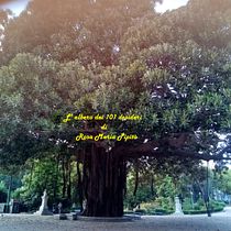 Il mio progetto del corso: Scrivere racconti: dalla vita vera alle storie di fantasia. Writing, Creativit, Stor, telling, Narrative, Non-Fiction Writing, and Creative Writing project by Rosa Maria Pipitò - 09.24.2022