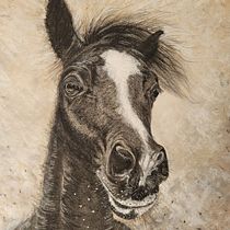 Horse Portrait - mon projet du cours : Portrait artistique au fusain : créez des ambiances. Artes plásticas, Desenho, Desenho de retrato, Desenho realista, Desenho artístico e Ilustração tradicional projeto de Oliwia - 02.09.2022