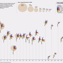 Mein Kursprojekt: Datenvisualisierung und Informationsdesign: Visualisierung des Städteranking 2021 der Schweiz. Un progetto di Design dell’informazione, Design interattivo e Infografica di Zeliya Schär - 04.09.2022