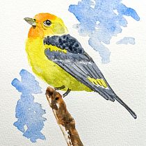 My project for course: Artistic Watercolor Techniques for Illustrating Birds. Projekt z dziedziny Trad, c, jna ilustracja, Malowanie akwarelą, R, sunek realist, czn, Ilustracja naturalist i czna użytkownika inga.morozoff - 03.09.2022
