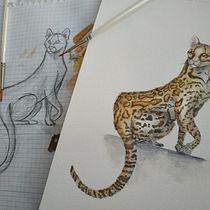 Mi proyecto del curso: Ilustración científica de animales en acuarela. Traditional illustration, Watercolor Painting, Realistic Drawing, and Naturalistic Illustration project by Bárbara Vidal Mas - 09.03.2022
