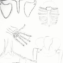 Mi proyecto del curso: Dibujo anatómico de extremidades, manos y pies. Artes plásticas, Esboçado, Desenho a lápis, Desenho, Desenho de retrato, Desenho realista, Desenho artístico, Sketchbook, Desenho anatômico e Ilustração com tinta projeto de Abraham Salinas - 30.07.2022