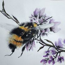 "Mr. Monster Bee" - My project for course: Illustrating the Natural World with Watercolor and Charcoal Ein Projekt aus dem Bereich Traditionelle Illustration, Malerei, Naturalistische Illustration und Zeichnung von janh2150 - 01.09.2022