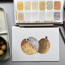 My project for course: Botanical Watercolor: Illustrating Art and Science. Un progetto di Illustrazione tradizionale, Belle arti, Pittura, Disegno, Pittura ad acquerello e Illustrazione botanica di Hchieh Ang - 05.09.2022