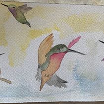 My project for course: Artistic Watercolor Techniques for Illustrating Birds. Projekt z dziedziny Trad, c, jna ilustracja, Malowanie akwarelą, R, sunek realist, czn, Ilustracja naturalist i czna użytkownika obrien-m - 05.09.2022