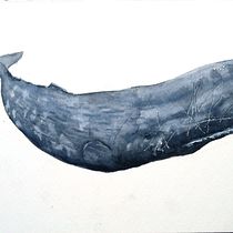 Mi proyecto del curso: Técnicas de ilustración naturalista: ballenas en acuarela. Un projet de Illustration traditionnelle, Conception d'affiches, Illustration numérique , et Manga de Juan Pablo Garcia - 06.09.2022