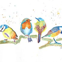 My project for course: Artistic Watercolor Techniques for Illustrating Birds. Traditional illustration, Watercolor Painting, Realistic Drawing, and Naturalistic Illustration project by susanc35 - 09.06.2022