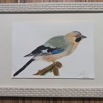 Meu projeto do curso: Aquarela naturalista com expressão e personalidade. Traditional illustration, Watercolor Painting, and Naturalistic Illustration project by Katia Cristina Mourão - 11.02.2023