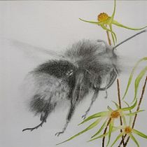 My project for course: Illustrating the Natural World with Watercolor and Charcoal. Traditional illustration, Painting, and Naturalistic Illustration project by bejuleo1 - 09.06.2022