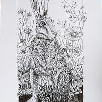 My project for course: Dip Pen and Ink Illustration: Capturing The Natural World Ein Projekt aus dem Bereich Skizzenentwurf, Zeichnung, Artistische Zeichnung, Sketchbook, Illustration mit Tinte und Naturalistische Illustration von Gail Townsend - 06.09.2022