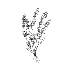 My project for course: Tattoo for Beginners. Tattoo Design project by Rachel Belleau - 09.07.2022