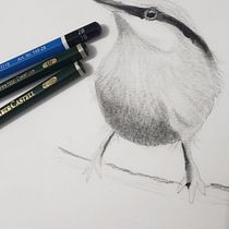Meu projeto do curso: Técnicas expressivas de aquarela para ilustração de pássaros. Traditional illustration, Watercolor Painting, Realistic Drawing, and Naturalistic Illustration project by Fabiano Araujo - 09.09.2022