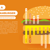 Infographic editorial design for a hungarian survey . Un progetto di Design dell’informazione, Infografica e Illustrazione tradizionale di Gergely Szántó - 11.09.2022