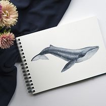 My project for course: Naturalist Illustration Techniques: Whales in Watercolor. Un progetto di Illustrazione tradizionale, Design di poster , Illustrazione digitale e Manga di Jana Janů - 12.09.2022