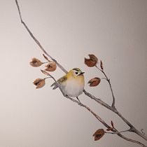 Mein Abschlussprojekt für den Kurs: Naturillustration: Farbige und monochrome Aquarelle. Traditional illustration, Fine Arts, Painting, Drawing, Watercolor Painting, Botanical Illustration, and Naturalistic Illustration project by Katrin Krammer - 09.14.2022