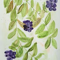 My project for course: Artistic Floral Watercolor: Connect with Nature. Ilustração tradicional, Pintura, Pintura em aquarela, Ilustração botânica, Teoria da cor, e Artesanato projeto de Phyllis Jovich - 14.09.2022