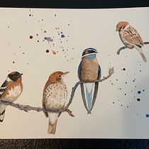My project for course: Artistic Watercolor Techniques for Illustrating Birds. Traditional illustration, Watercolor Painting, Realistic Drawing, and Naturalistic Illustration project by carto_trent - 09.14.2022