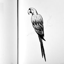 Exploring blackwork designs . Projekt z dziedziny Trad, c, jna ilustracja, Ilustracja c, frowa i Projektowanie tatuaż użytkownika loubika - 15.09.2022