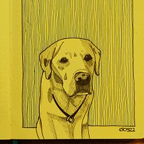 Mein Abschlussprojekt für den Kurs: Tagebuch illustrieren: Fülle dein Skizzenbuch mit Erlebnissen. Traditional illustration, Sketching, Drawing, Sketchbook & Ink Illustration project by Nicole Ast - 09.15.2022