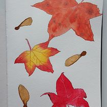 My project for course: Botanical Sketchbooking: A Meditative Approach. Ilustração tradicional, Esboçado, Desenho, Pintura em aquarela, Ilustração botânica, e Sketchbook projeto de from_fertile_soil - 16.09.2022