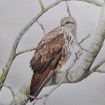 Il mio progetto del corso: Illustrazione naturalistica: acquerello in positivo e negativo. Traditional illustration, Fine Arts, Painting, Drawing, Watercolor Painting, Botanical Illustration, and Naturalistic Illustration project by carlsym75 - 09.16.2022