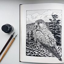 My project for course: Dip Pen and Ink Illustration: Capturing The Natural World Ein Projekt aus dem Bereich Skizzenentwurf, Zeichnung, Artistische Zeichnung, Sketchbook, Illustration mit Tinte und Naturalistische Illustration von Anna Petrikova - 16.09.2022