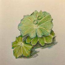 My project for course: Sketchbook Illustration with Colored Pencils. Traditional illustration, Fine Arts, Sketching, Pencil Drawing, Drawing, Artistic Drawing, and Sketchbook project by Susanne Taudte - 09.16.2022