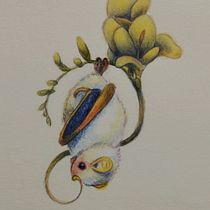 My project for course: Surrealist Illustration Inspired by Nature. Traditional illustration, Pencil Drawing, Drawing, Artistic Drawing, Naturalistic Illustration, and Colored Pencil Drawing project by Molly Berry - 09.17.2022
