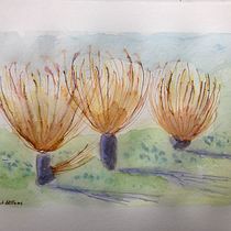 My project for course: Sketchbook Landscapes: A Colorful Approach. Un progetto di Bozzetti, Creatività, Disegno a matita, Disegno e Sketchbook di Bernhard Ebbinghaus - 18.09.2022