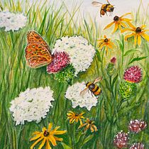 My project for course: Illustrating the Natural World with Watercolor and Charcoal. Traditional illustration, Painting, and Naturalistic Illustration project by Lynn Schneider - 09.18.2022