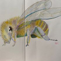 Mi proyecto del curso: Ilustración surrealista inspirada en la naturaleza. Traditional illustration, Pencil Drawing, Drawing, Artistic Drawing, Naturalistic Illustration, and Colored Pencil Drawing project by a_c_c - 09.17.2022