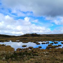 Mi proyecto del curso: Fotografía de paisaje y naturaleza. Photograph, Outdoor Photograph, Instagram Photograph, Documentar, Photograph, and Photographic Composition project by Katerine Lozano - 09.20.2022