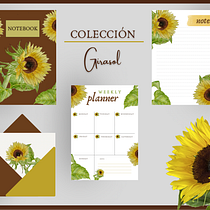 Mi proyecto del curso "Ilustración botánica con acuarela": Colección Girasol. Ilustração tradicional, Artes plásticas, Pintura, Desenho, Pintura em aquarela e Ilustração botânica projeto de Elsa Nidia Mauricio Balbuena - 18.09.2022