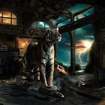 Mi proyecto del curso: Secretos del fotomontaje y el retoque creativo. Fotografia, Pós-produção fotográfica, VFX, Retoque fotográfico, Fotografia artística, Composição fotográfica, Fotomontagem, Publicidade, Música, e Eventos projeto de Nechita Radu - 20.09.2022