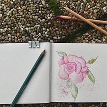 My project for course: Floral Drawings to Illustrate your Bullet Journal. Un proyecto de Dibujo e Ilustración botánica de b_s - 20.09.2022