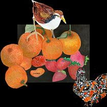 Mi proyecto del curso: Naturaleza ilustrada: una exploración creativa. Traditional illustration, Painting, Drawing, Watercolor Painting, Ink Illustration, and Naturalistic Illustration project by Matilde Chavez - 09.22.2022