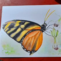 Mon projet du cours : Aquarelle réaliste et compositions botaniques. Traditional illustration, Painting, Drawing, Watercolor Painting, and Botanical Illustration project by dianawinter99216 - 09.22.2022