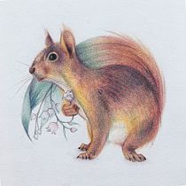 My project for course: Surrealist Illustration Inspired by Nature. Traditional illustration, Pencil Drawing, Drawing, Artistic Drawing, Naturalistic Illustration, and Colored Pencil Drawing project by Ola Fijałkowska - 09.23.2022