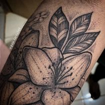 Meu projeto do curso: Tatuagem botânica com pontilhismo. Un progetto di Illustrazione tradizionale, Design di tatuaggi e Illustrazione botanica di Rogério Sebastião - 14.09.2022