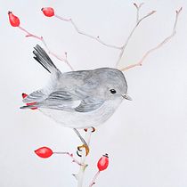 Il mio progetto del corso: Illustrazione naturalistica: acquerello in positivo e negativo. Traditional illustration, Fine Arts, Painting, Drawing, Watercolor Painting, Botanical Illustration, and Naturalistic Illustration project by Daniela Zaccheddu - 09.24.2022