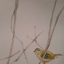 Il mio progetto del corso: Illustrazione naturalistica: acquerello in positivo e negativo. Traditional illustration, Fine Arts, Painting, Drawing, Watercolor Painting, Botanical Illustration, and Naturalistic Illustration project by isabellalovino - 09.24.2022