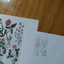 Bordado floral em aplicação . Accessor, Design, Arts, Crafts, Pattern Design, Botanical Illustration, and Textile Design project by Stefania Martinaitis - 09.24.2022