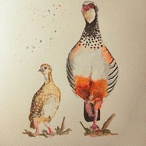 Mi proyecto del curso: Acuarela artística para ilustración de aves. Traditional illustration, Watercolor Painting, Realistic Drawing, and Naturalistic Illustration project by hola.bronzed - 09.21.2022